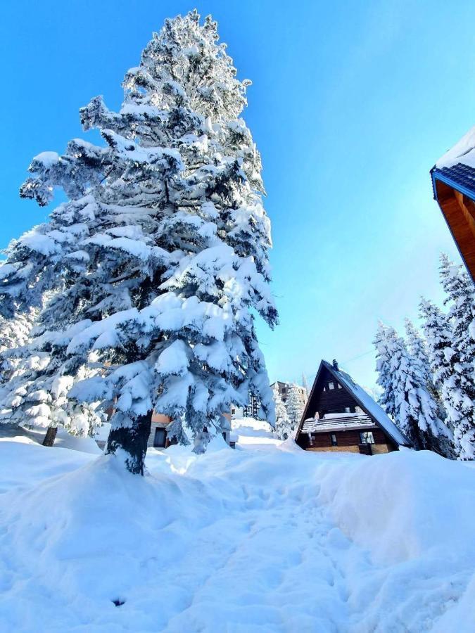 Jahorina 7Lux Apartment Bagian luar foto